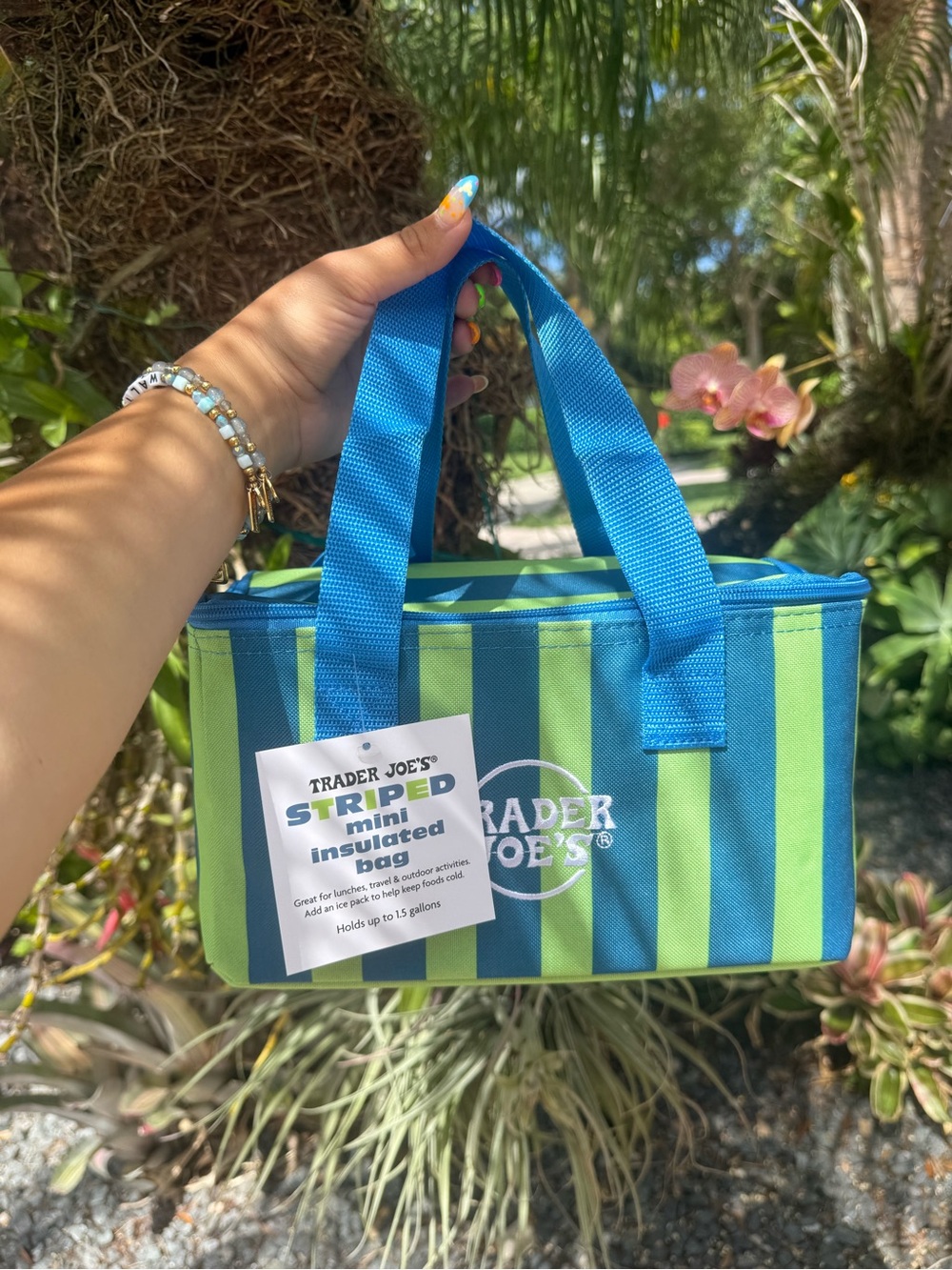 NWT | Trader Joe's Striped Mini Insulated Bag - Blue & Lime Green
